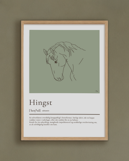 Hingst – humoristisk plakat (digital)