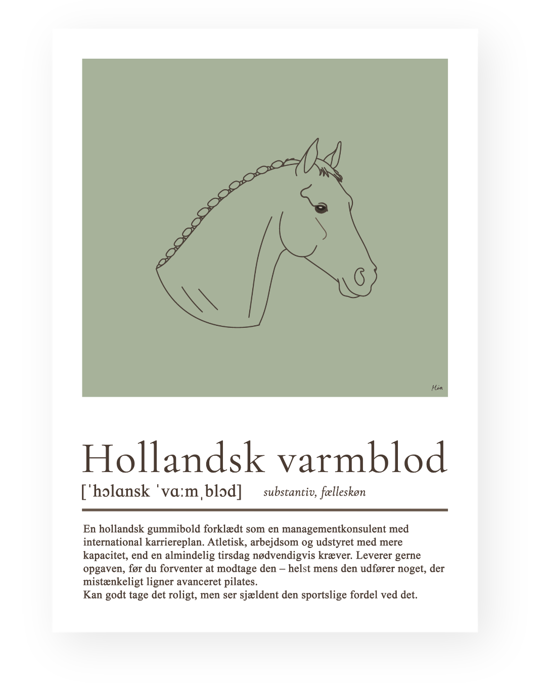 Hollandsk varmblod – humoristisk plakat