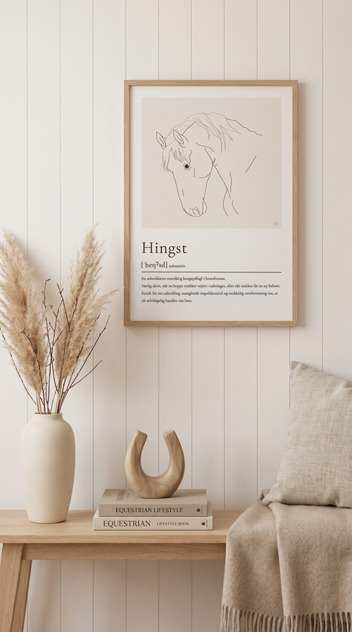 Hingst plakat – humoristisk hesteplakat med ordforklaring