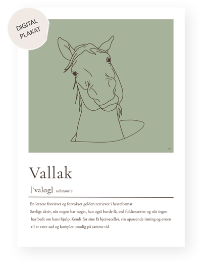Vallak – humoristisk plakat (digital)
