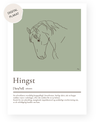 Hingst – humoristisk plakat (digital)