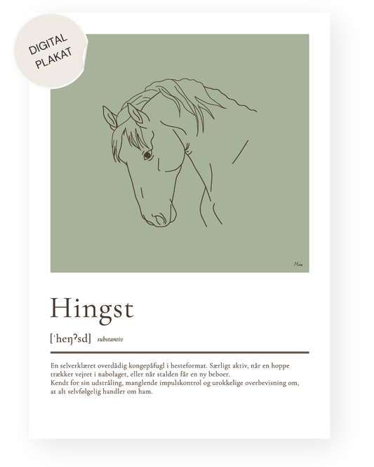 Hingst – humoristisk plakat (digital)