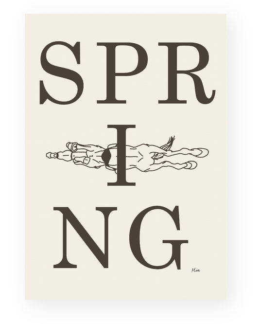 Spring – Disciplin plakat