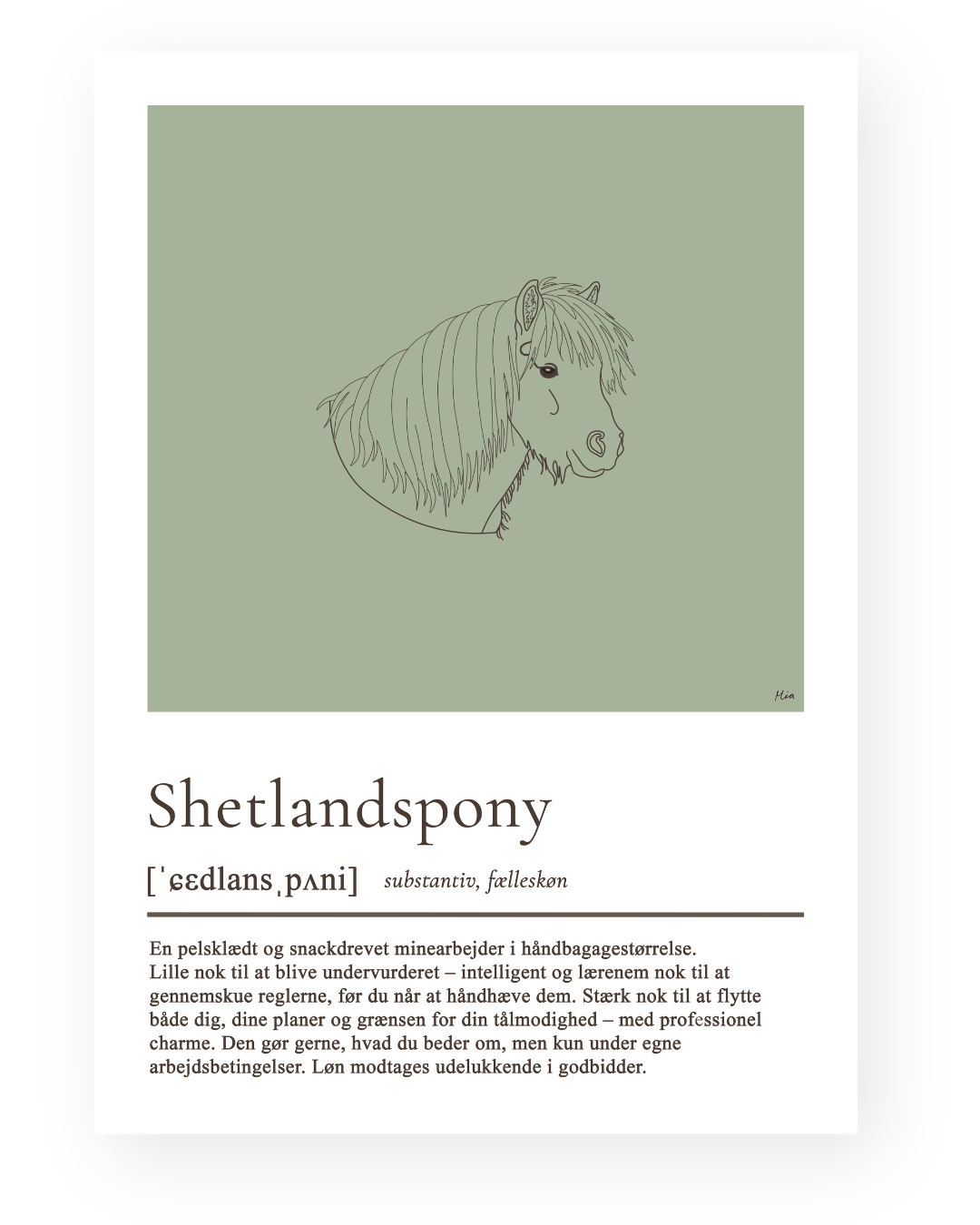 Shetlandspony – humoristisk plakat