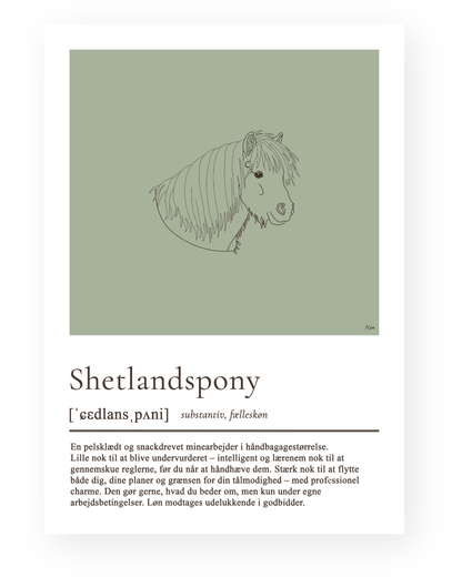 Shetlandspony – humoristisk plakat